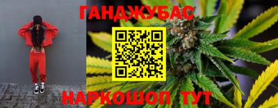 шишки Камышлов