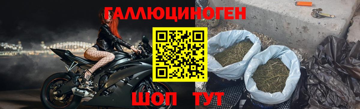 Галлюциногенные грибы GOLDEN TEACHER  цены   Вход с VPN  Лесосибирск  Галлюциногенные грибы мухоморы 